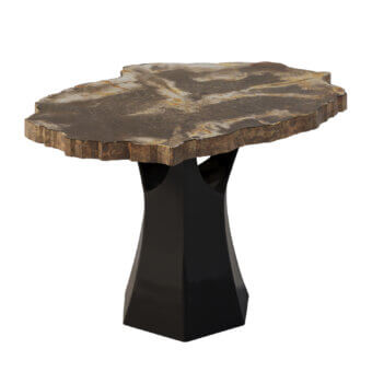 Pierre Mason Arboresce Petrified Wood Mini Coffee Table