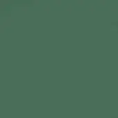 Solid green color swatch, matte finish, neutral tone, consistent surface, digital representation of powder coated paint, background material.