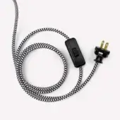 Barn Light Plug & Switch Black