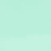 Barn Light Powder Coat 370-Mint