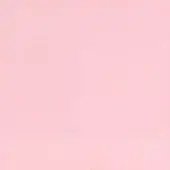 Barn Light Powder Coat 480-Blush Pink