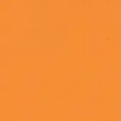 Barn Light Powder Coat 495-Sherbet Orange
