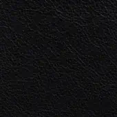 Stellar Works Milano Milano_Black 2522