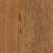 Dovetail Wood Natural Mango Wood