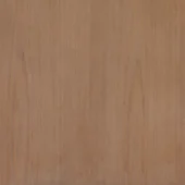 Dovetail Wood Light Natural Elm Wood