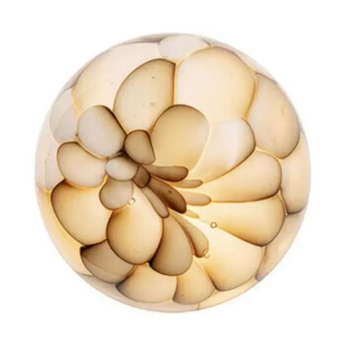 Wall Lamps