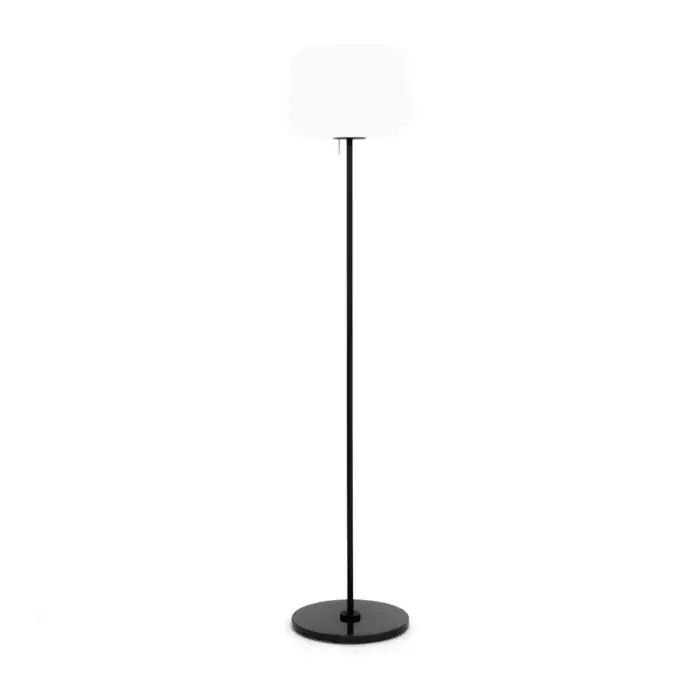 Floor Lamps