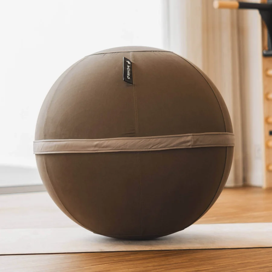 WATERROWER | NOHRD NOHRD Eau-Me Board + Viva Ball #19