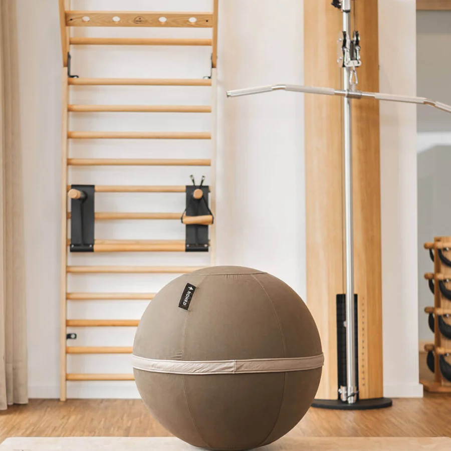 WATERROWER | NOHRD NOHRD Eau-Me Board + Viva Ball #20