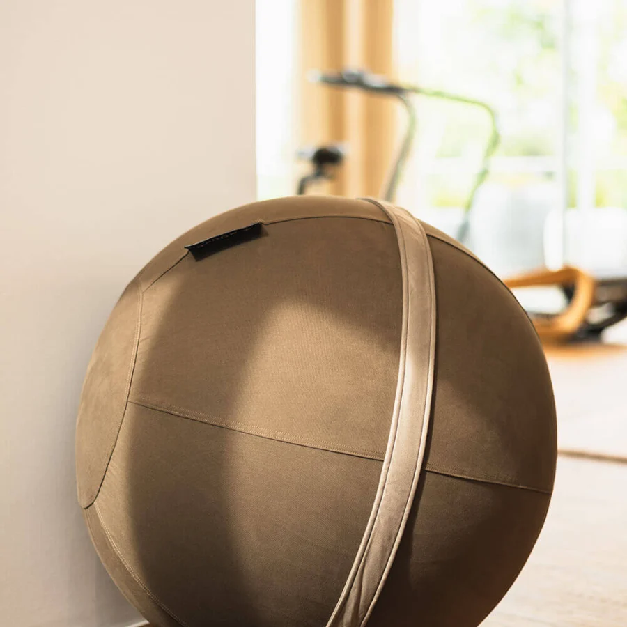 WATERROWER | NOHRD NOHRD Eau-Me Board + Viva Ball #24