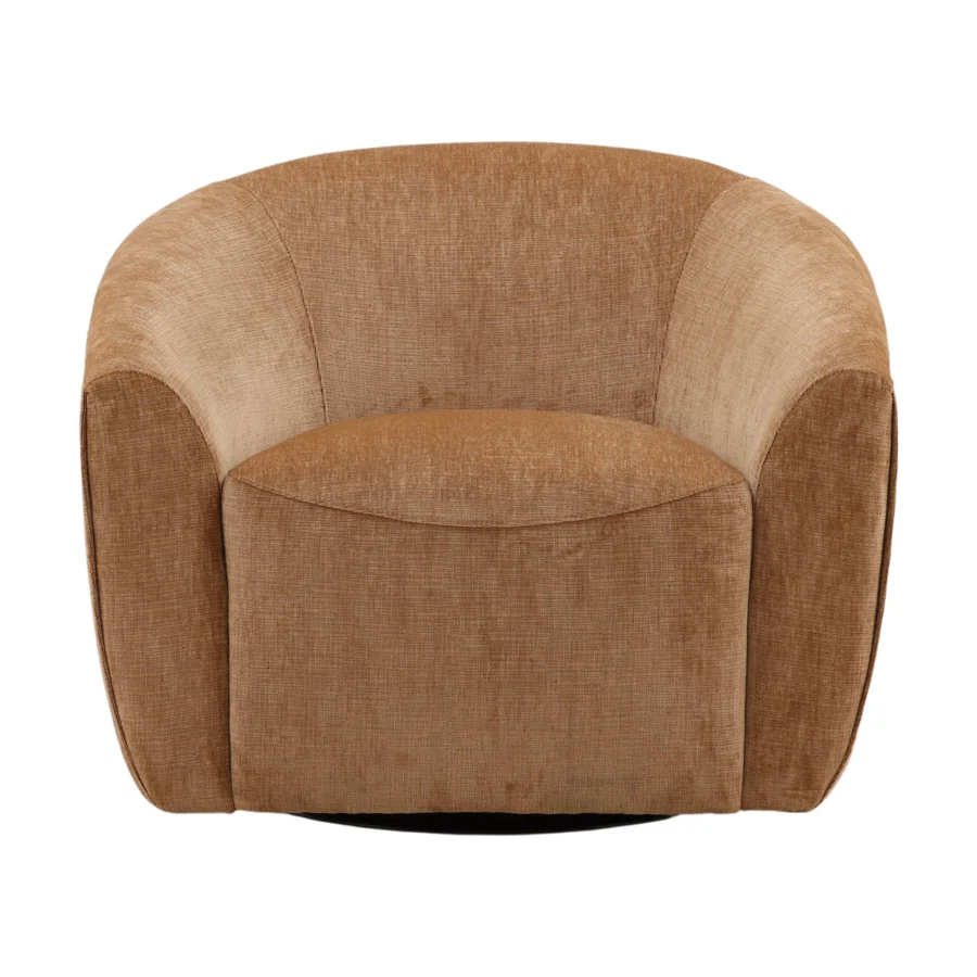 Dovetail Rojas Swivel Lounge Chair #2